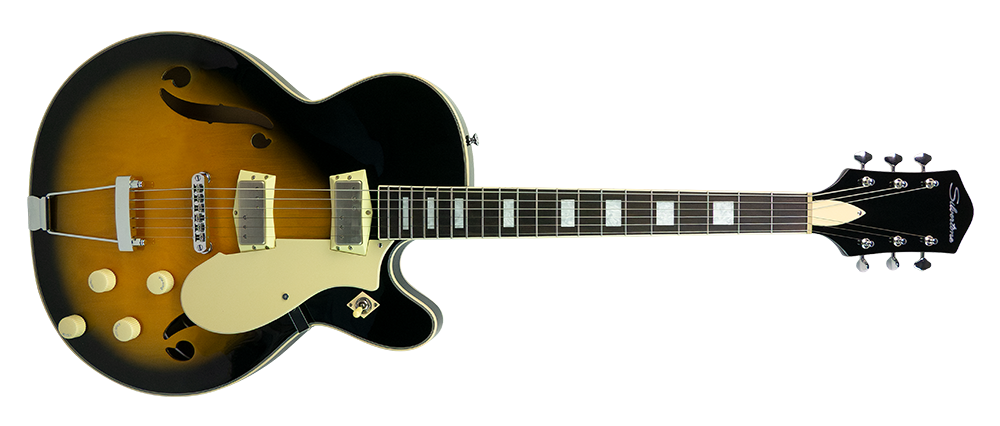 Collections – Silvertone Guitars