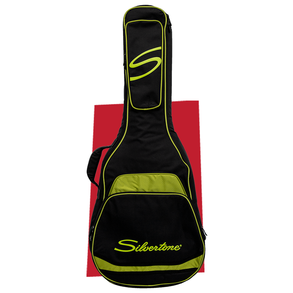 Acoustic Gigbag